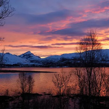 Håkøya