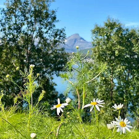 Hakoya Apartamento Tromsø